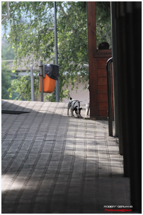 200mm2.jpg