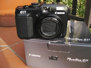 20100601_2123testatesta.jpg