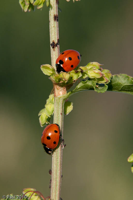20100614_0311.jpg