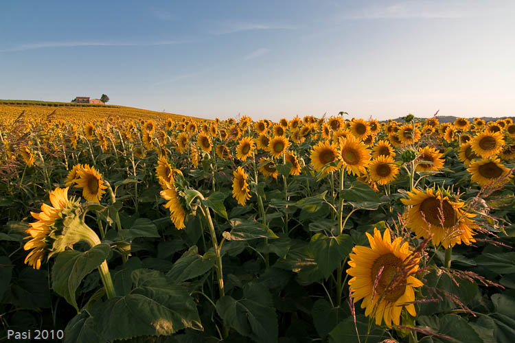 2010_07_08_0005.jpg