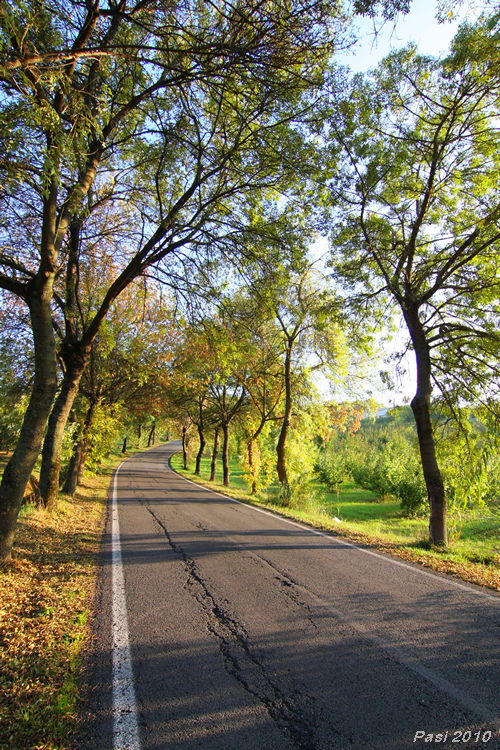 2010_10_19_1423.jpg