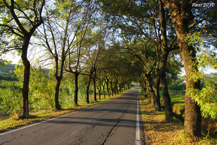 2010_10_19_1425.jpg