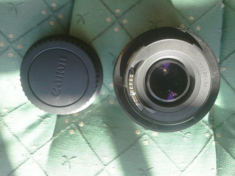 2011-01-11 13.56.37.jpg