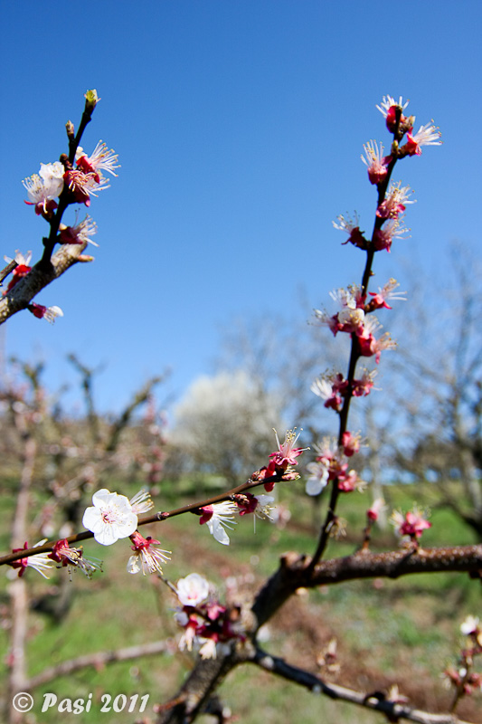 2011_03_20_1642.jpg