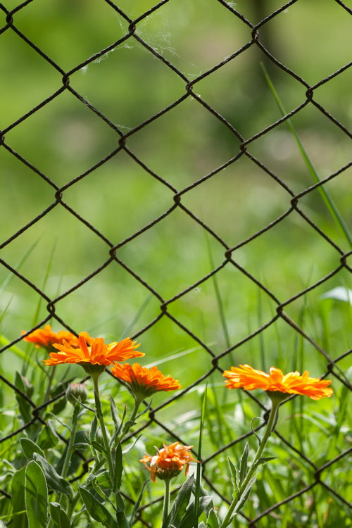 2011_04_12_2817.jpg