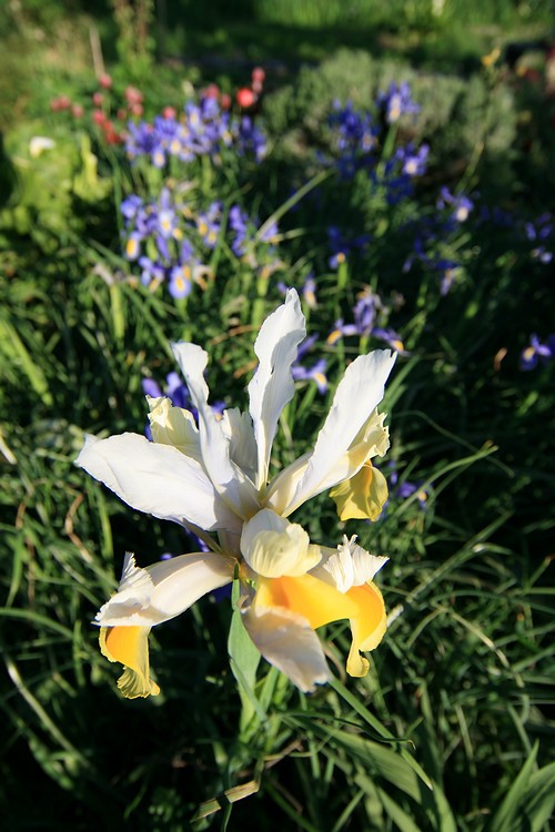 20120417_1833web.jpg