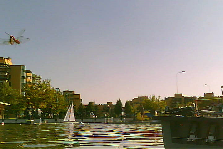 20120916 - Laghetto Malaspina_Libellule_009.jpg