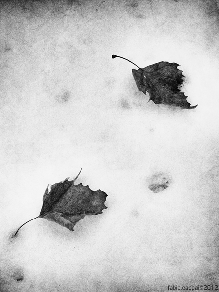 20121215_00008-00.jpg