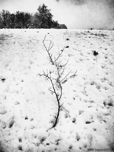 20121215_00009-00.jpg