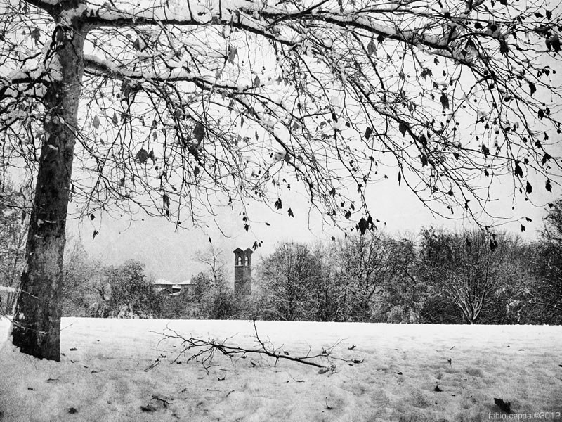 20121215_00010-01.jpg