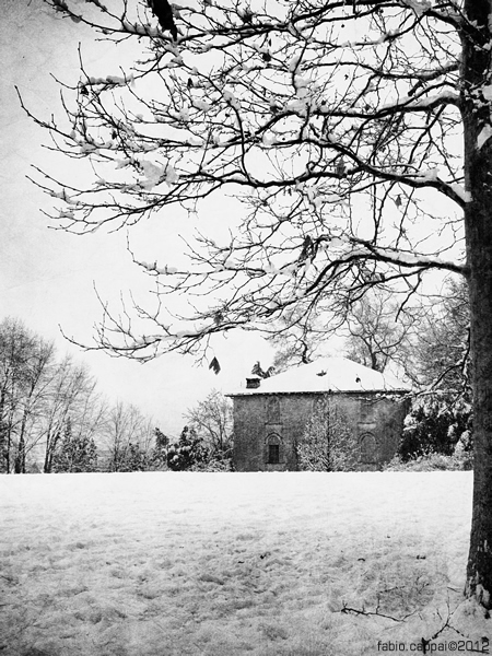 20121215_00012-01.jpg