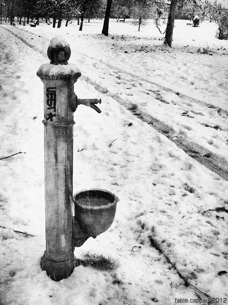 20121215_00016-01.jpg