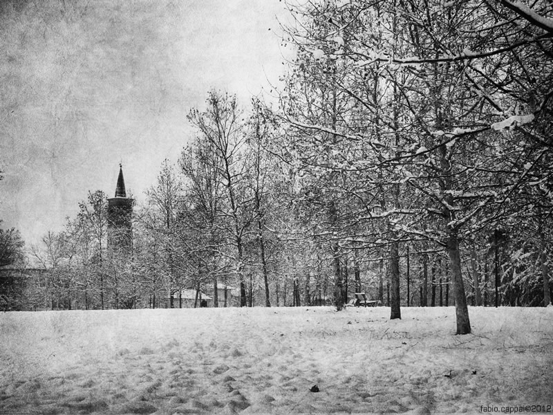 20121215_00029-01.jpg