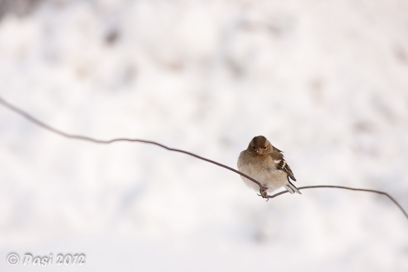2012_02_08_0800.jpg