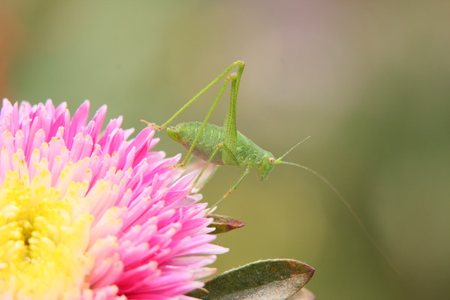 2012_07_22_6957.JPG
