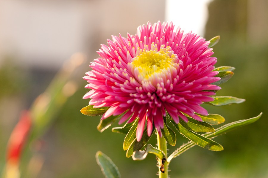 2012_07_23_7043.jpg