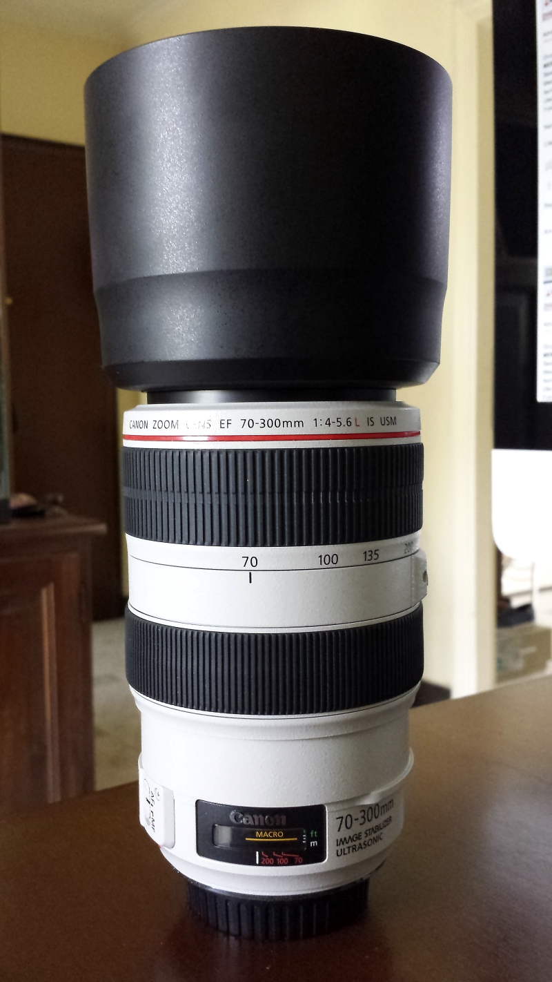 20130527_120443.JPG