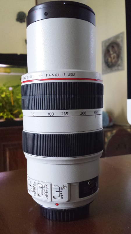 20130527_120945.JPG