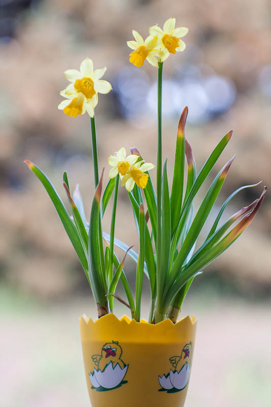 2013_03_28_1663.jpg
