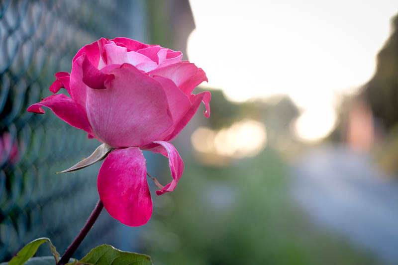 2013_05_14_0652.jpg