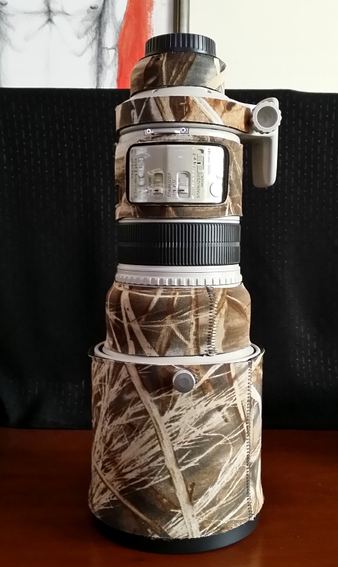 20141019_114243.JPG