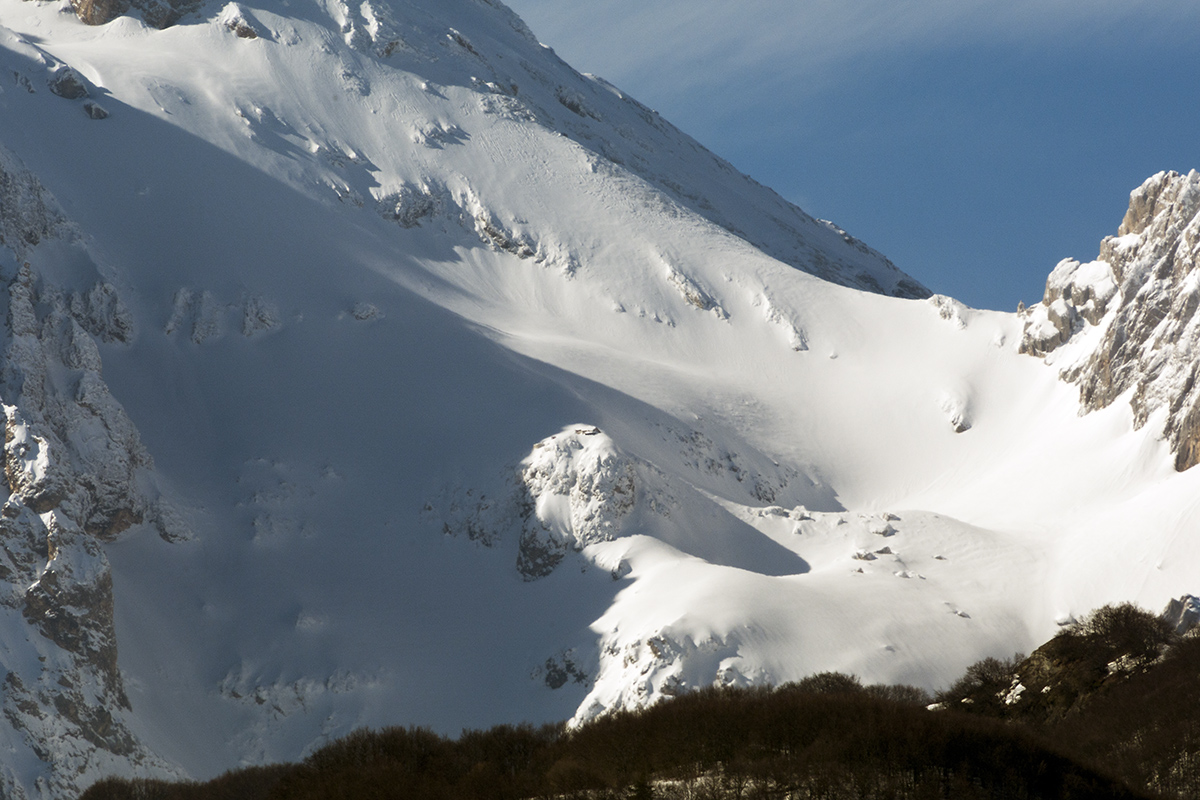 2015_DSC0723_MODIFICATA_1_3X.jpg