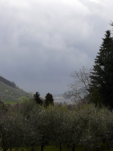 20196-500.jpg