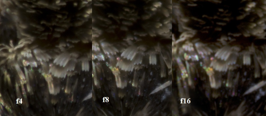 2024-05-02 12-43-35 (C,S1)confronto.jpg