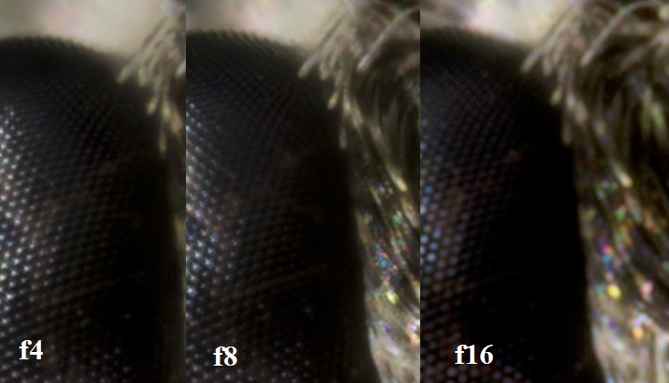 2024-05-02 12-43-35 (C,S1)confronto 2.jpg