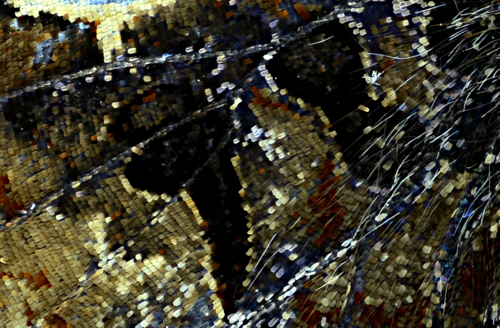 2024-06-02 20-58-10 (C,S1)150 stack 0.140 f5.jpg