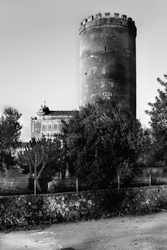 202_0225-copia.jpg