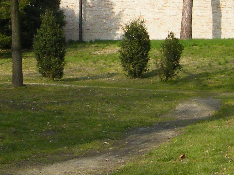 2043_centro_erba.jpg
