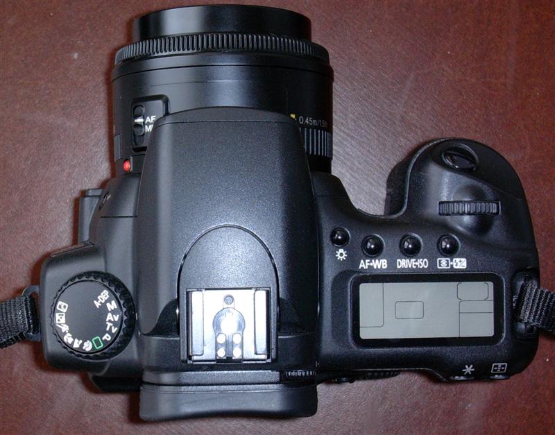 20d_2__medium__539.jpg