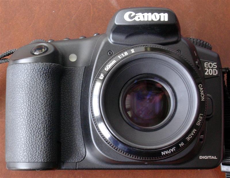 20d_4 (Medium).jpg
