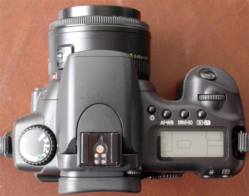 20d_5 (Medium).jpg