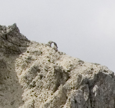 20mm1.8crop8.JPG