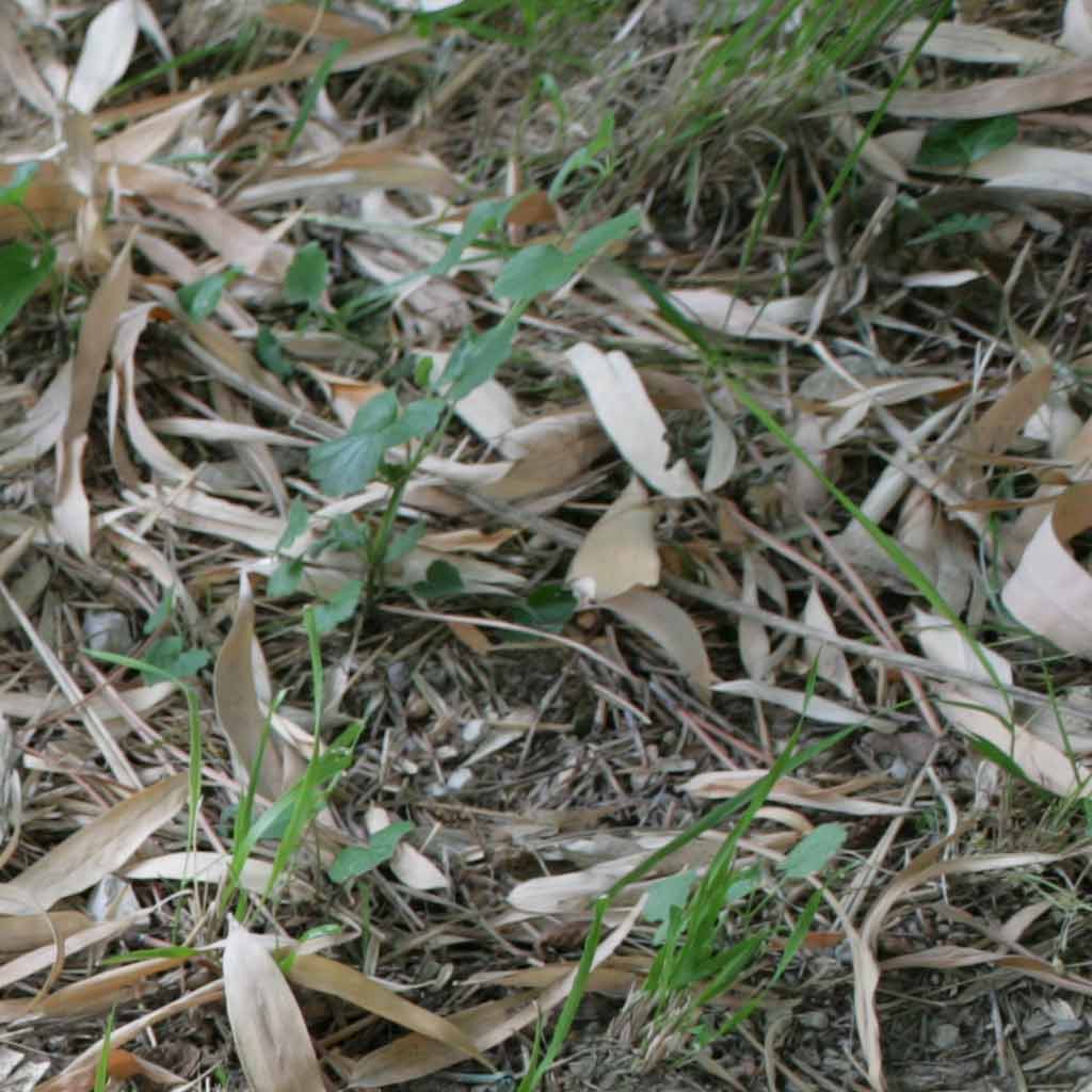 21-ptd-angolo-alto-dx.jpg
