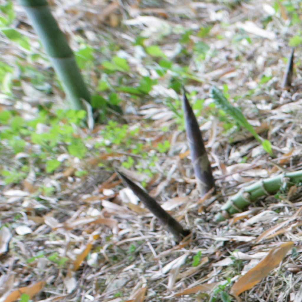 21-ptd-angolo-alto-sx.jpg