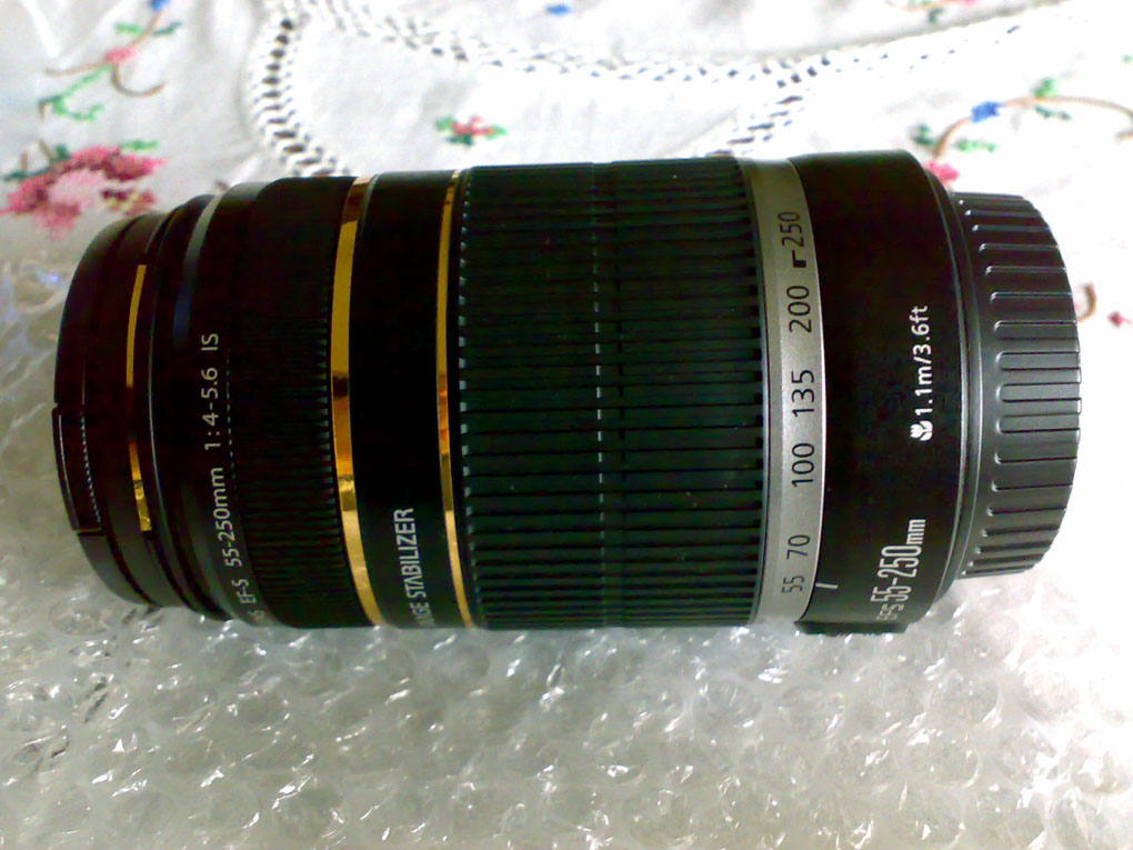 21012012670_.jpg