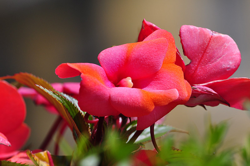 210mm_f11.jpg