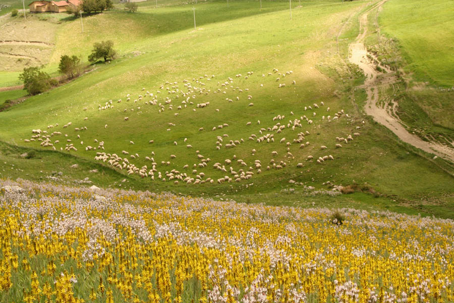 22-25 aprile 257.jpg