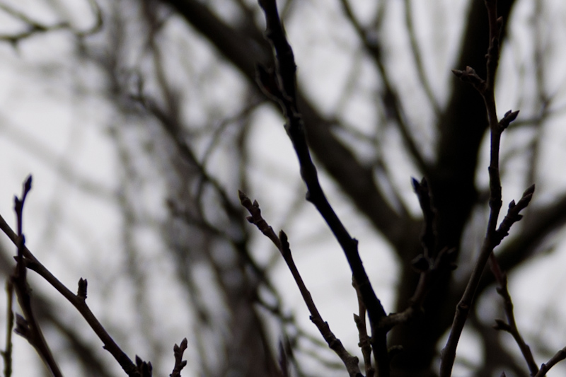 24-70mm a 28mm f2.8.jpg