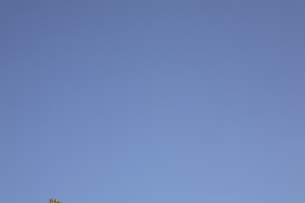 24_70_70mm_f22.JPG