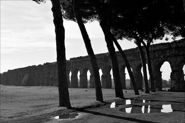 24A_0098.jpg