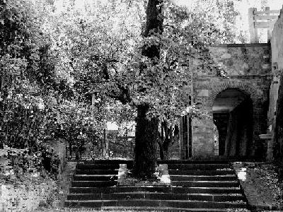 256rid_giardino scotto7.jpg