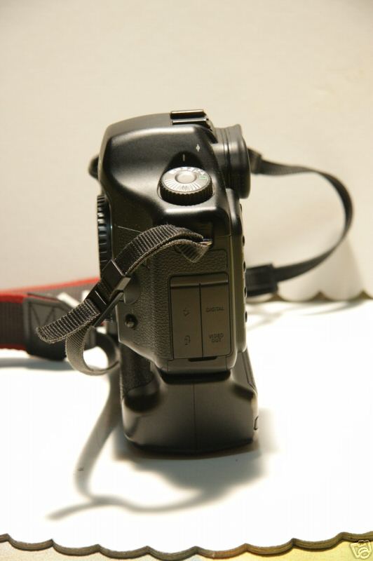 258d_3.JPG