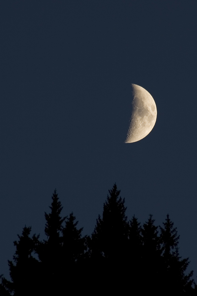 27.11.06-Luna_abetiIMG_0492.jpg