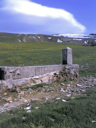 28-10-08_0558.gif