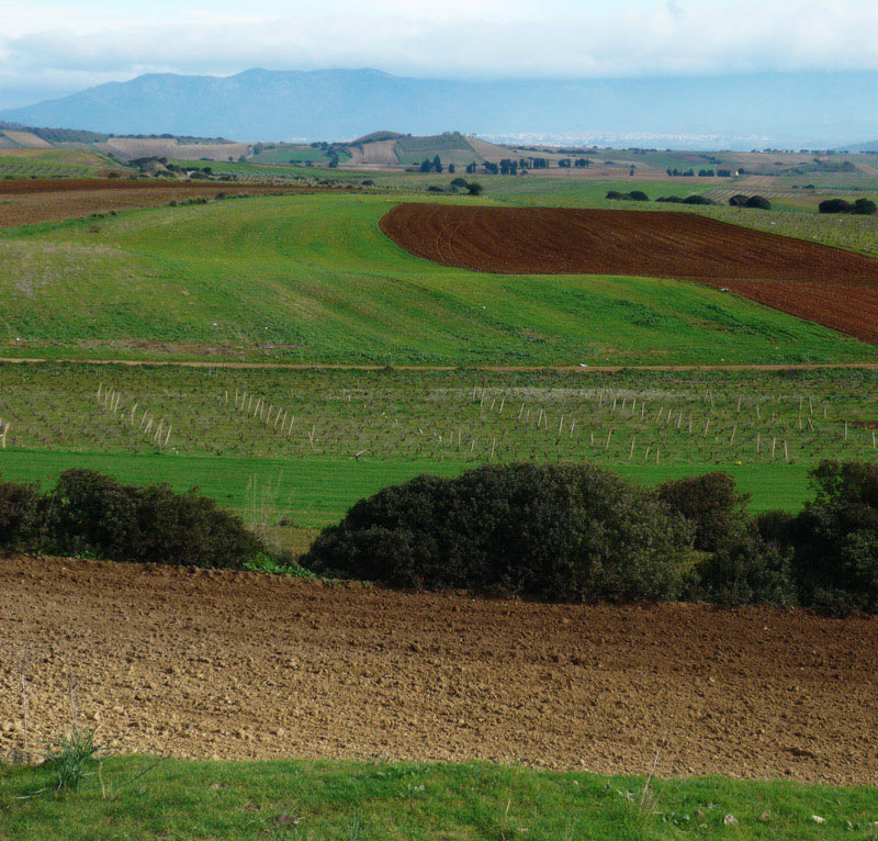 28-dicembre-2008-0001.jpg