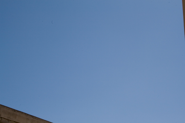 28feb2009_6263-2.jpg
